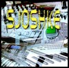 Picture for song 'Sjoshke's Intro' by artist 'Sjoshke'
