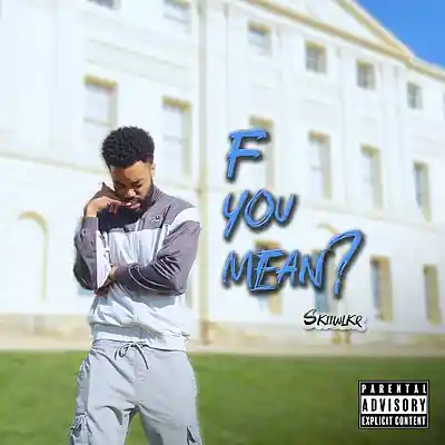 Picture for song 'F You Mean?' by artist 'Skiiwlkr'
