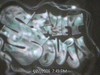 Picture for song 'Revenge' by artist 'Sky High Productions (US)'