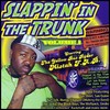 Picture for song 'Dum DiDi Dum' by artist 'slappin in the trunk'