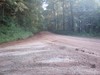 Picture for song 'Take Me To The Country' by artist 'SLOW PLOW'