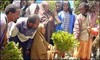Picture for song 'a salakum somali ringtone' by artist 'Somali Heeso'