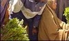 Picture for song 'somali heeso 5' by artist 'Somali Heeso'