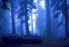 Picture for song 'Mist' by artist 'Som-Cro'