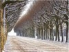 Picture for song 'Oh Winter' by artist 'Sonja V'