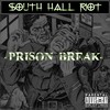 Picture for song 'Project Cool' by artist 'South Hall Riot'