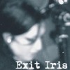 Picture for song 'EXIT IRIS 'Mainstream Mans Dream'' by artist 'southpolerecs'