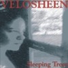 Picture for song 'VELOSHEEN 'California'' by artist 'southpolerecs'