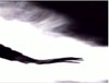 Picture for song 'guitar' by artist 'spy vs spy'