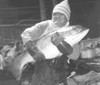 Picture for song 'fishfin' by artist 'srm (US)'