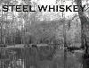 Picture for song '100 MPH' by artist 'Steel Whiskey'