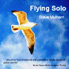 Picture for song 'Winter's Sorrow' by artist 'Steve Mulhern'