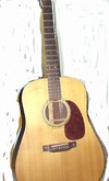 Picture for song 'THE PROPHECY' by artist 'STEVE RICHARDS'