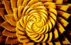 Picture for song 'Omnipresent Vortex (final mix)' by artist 'Sunoculus'