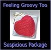 Picture for song 'Feeling Groovy Too' by artist 'Suspicious Package'