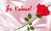 Picture for song 'Valencia - I Love You More' by artist 'Sweet P (Valenti)'