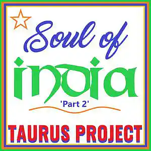 Picture for song 'Soul Of India Pt 2 - Welcome To Bollywood' by artist 'Taurus Project'
