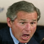 Picture for song 'Ininintelligence' by artist 'TGO Nation'