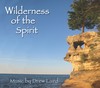 Picture for song 'Whirlwind' by artist 'The Drew Laird Experience'