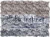Picture for song '06- manifest' by artist 'The Enlightenment'