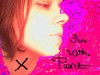Picture for song 'just a little bit of rain' by artist 'the healthy home'