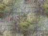 Picture for song 'they've been talking to the queen' by artist 'the joyous cosmology'