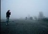 Picture for song 'sunshines away' by artist 'The Kugiz'