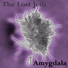 Picture for song 'Circles' by artist 'The Lost Jedi'