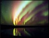 Picture for song 'Grand Finale' by artist 'the shrubs'
