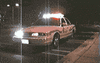 Picture for song 'GO KILL A COP RIGHT NOW (B-SIDE)' by artist 'The tribe of the white willow'
