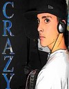 Picture for song '1995 WITH CRAZY' by artist 'the twitch'