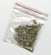 Picture for song 'Pass The Weed Bag' by artist 'The Xperience'