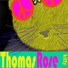 Picture for song 'Fall Guy' by artist 'Thomas Rose'