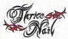 Picture for song 'Worth All The Blood' by artist 'Thrice Nail'