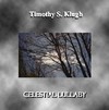 Picture for song 'Celestial Lullaby' by artist 'Timothy S Klugh'