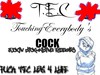 Picture for song 'TEC Diss ft. Da Punisher' by artist 'TLK N DP'