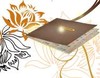 Picture for song 'Levui_LK feat Phuong Anh' by artist 'TNT666'