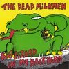 Picture for song 'Big Lizard in my Backyard' by artist 'Trick of Shadow'