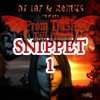 Picture for song 'From Dusk Till Dawn Snippet 1' by artist 'Triple-X-Entertainment'