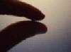 Picture for song 'Slow Snap (UTF)' by artist 'Untouched Fame Inc'