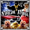 Picture for song 'Le Premier Comeback' by artist 'Vatican Ninja'