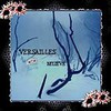 Picture for song 'Believe (Electric Dead Tree Mix)' by artist 'Versailles'