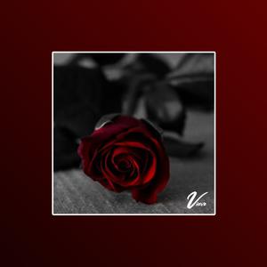 Picture for song 'What We Had - Sad Piano Rap Beat' by artist 'Viave Beatz'