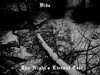 Picture for song 'Night is my True Godess (Unhuman and Beautiful)' by artist 'Vide'