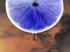 Picture for song 'Emilbus' by artist 'Wandering'