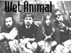 Picture for song 'Don't Put Me Down' by artist 'Wet Animal'
