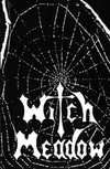 Picture for song 'wings of steel' by artist 'witch meadow'