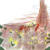 Picture for song 'Meditation #1 - Ancient Glacial Meadow beside Peak' by artist 'X J Scott'
