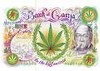 Picture for song 'GAME OVA PUSSY' by artist 'youth affenders'