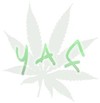 Picture for song 'Shorty - reality and dats it' by artist 'youth affenders'